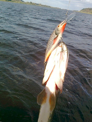 Изображение 737.jpg