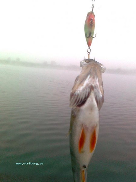 Изображение 017.jpg