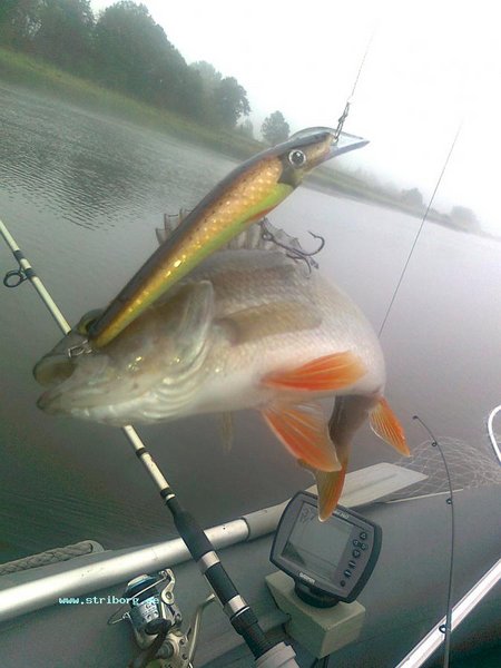 Изображение 023.jpg