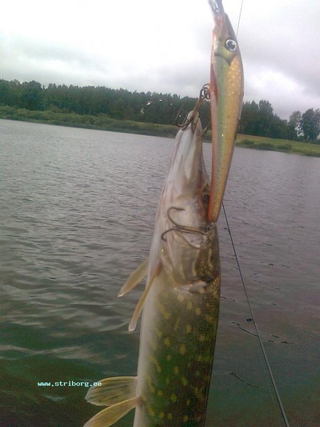 Изображение 028.jpg