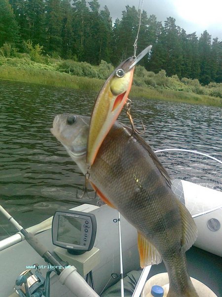 Изображение 032.jpg