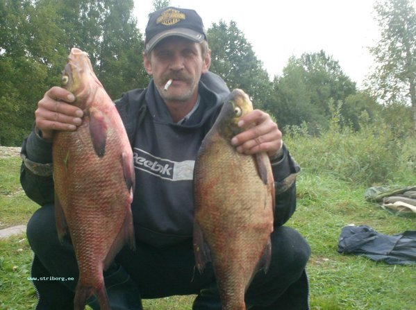 002.JPG (140.7 КБ) 2491 просмотр 002.JPG