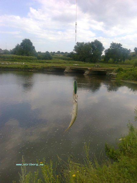 Это можно назвать " меньше не бывает"