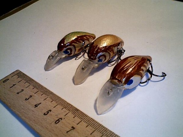 жолтопузики мои лучшие голавлятники