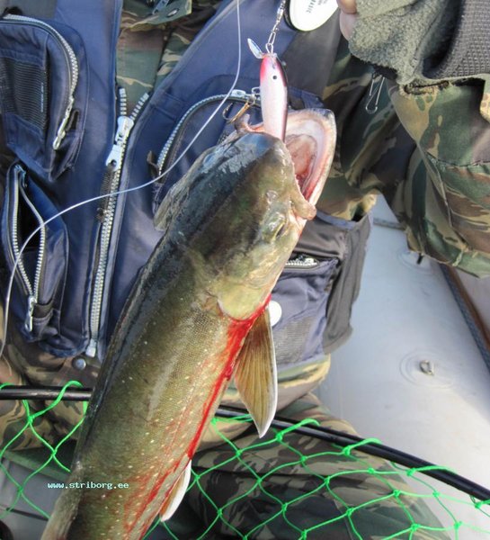 Палия, воблерок - копия 65мм Gess Эдуарда.