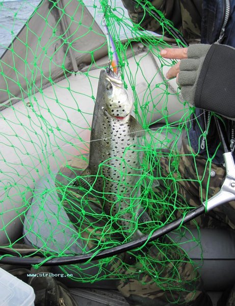 кумжа, воблер 95мм, копия alex 78