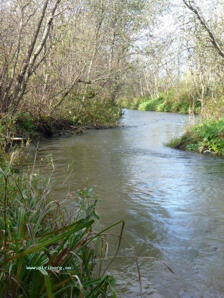 А речка то - красавица!!!