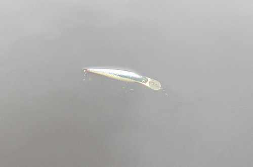 Сч3.jpg (60.42 КБ) 1348 просмотров Последний кадр микроба. АМИНЬ!