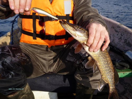 Этот воб опять вне конкуренции...