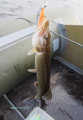 Снова 0,8 - не зачёт!