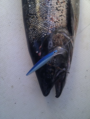 этот синий однокрючковый у меня не работал