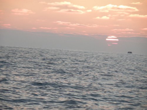 6.JPG (100.16 КБ) 21049 просмотров шарик в тельнике