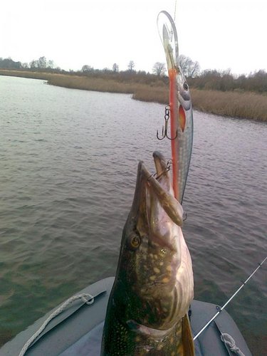 Изображение 1404.jpg