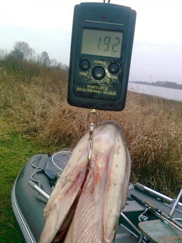 Изображение 1415.jpg