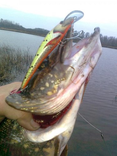 Изображение 1421.jpg