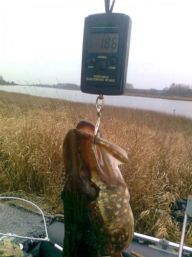 Изображение 1417.jpg