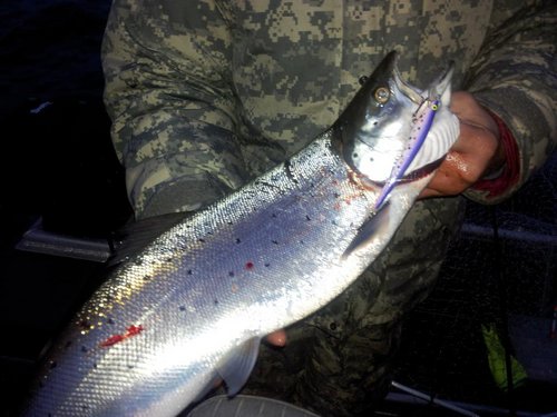 2011-11-20 16.30.16.jpg