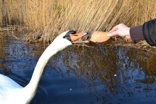 DSC_0146.JPG