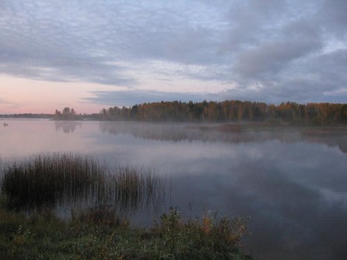 IMG_5415.JPG