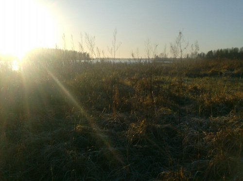 010.JPG