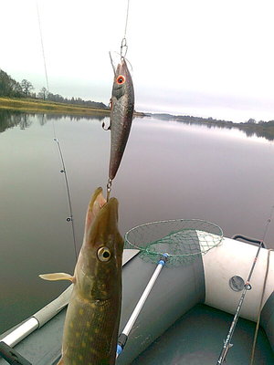 Изображение 822.jpg