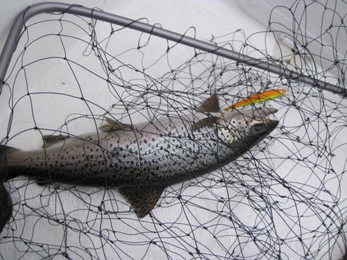 первая Рыбка