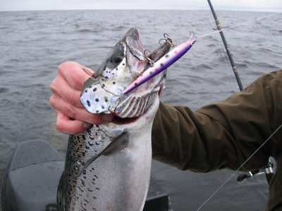 Изображение 188.jpg