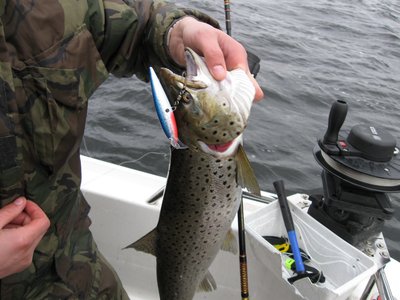 Изображение 204.jpg