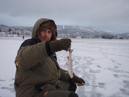 golavlj.JPG (56.15 КБ) 11138 просмотров golavlj.JPG