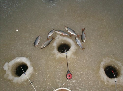 018.JPG (77 КБ) 3898 просмотров 018.JPG